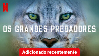 Predadores do Mundo Animal (2023)